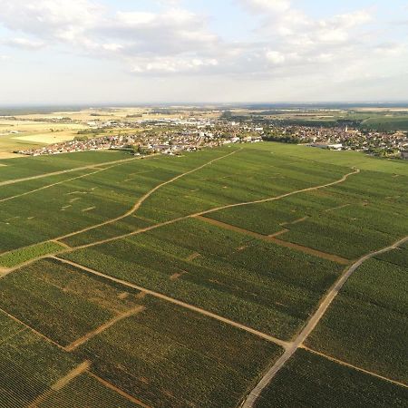 Les portes du vignoble Nuits-Saint-Georges Extérieur photo