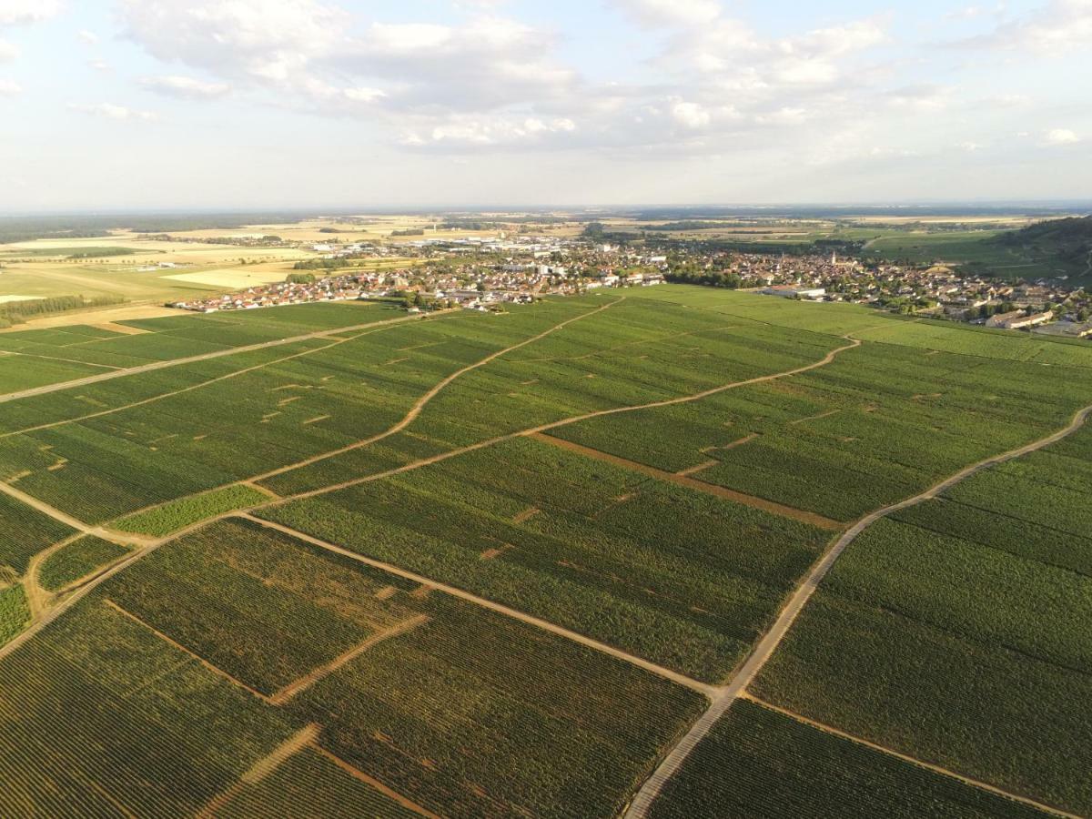 Les portes du vignoble Nuits-Saint-Georges Extérieur photo
