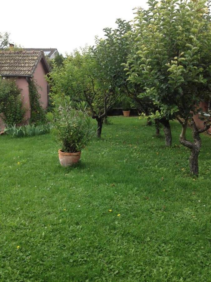 Les portes du vignoble Nuits-Saint-Georges Extérieur photo